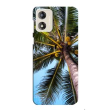 Силіконовий чохол з КАРТИНКАМИ літо для Motorola MOTO G13 (AlphaPrint) (Пальма)