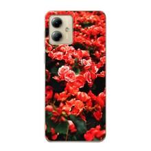 Чехлы с Цветами для Motorola MOTO G14 (VPrint) (Цветы красные)