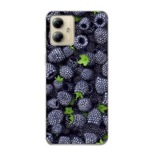 Чехлы с Фруктами для Motorola MOTO G14 (VPrint) (Ежевика)