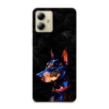 Чехлы с картинками животных Motorola MOTO G14 (Собака)