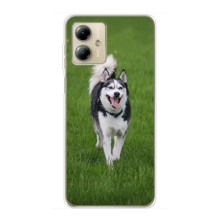 Чехол с Хаски для Motorola MOTO G14 - (AlphaPrint) (Радостный Хаски)