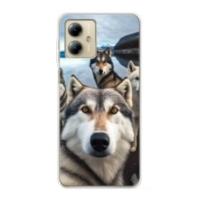 Чехол с Хаски для Motorola MOTO G14 - (AlphaPrint) (Селфи ХАски)