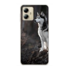 Чехол с Хаски для Motorola MOTO G14 - (AlphaPrint) (Верный пес)