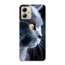 Чехлы с Котиками для Motorola MOTO G14 (VPrint) (Серый Кот)