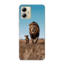 Чехол Король лев на Мото джи 14 – Мусафа и Симба