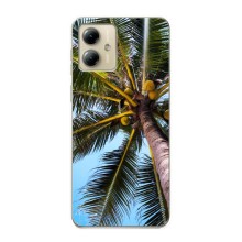 Силиконовый чехол с КАРТИНКАМИ лето для Motorola MOTO G14 (AlphaPrint) (Пальма)