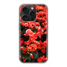 Чехлы с Цветами для Motorola Moto G15 Power (VPrint) (Цветы красные)