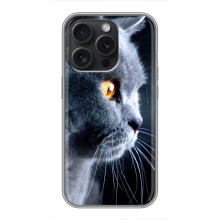 Чохли з Котиками для Motorola Moto G15 Power (VPrint) (Сірий Кіт)