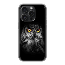 Чехлы с принтом СОВЫ для Motorola Moto G15 Power – Сова на чёрном