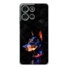 Чехлы с картинками животных Motorola Moto G15 (Собака)