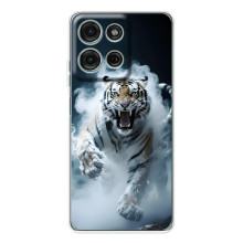 Чехол с картинкой «Хищники» для Motorola Moto G15 – Тигр