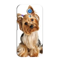 Чехол (ТПУ) Милые собачки для Motorola Moto G2 – Собака Терьер