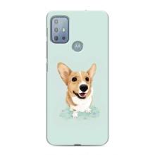 Чохли з собаками для Motorola MOTO G20 (VPrint) (Коргі)