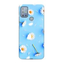 Чехол с Цветами для Motorola MOTO G20 (ромашки на голубом)