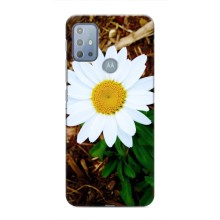 Чехол с ромашками на Motorola MOTO G20 – Белая ромашка