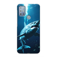 Чехол с картинкой «Хищники» для Motorola MOTO G20 – Акула