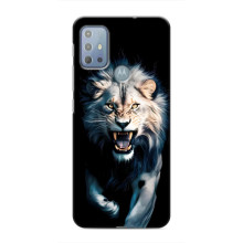 Чехол с картинкой «Хищники» для Motorola MOTO G20 – Лев