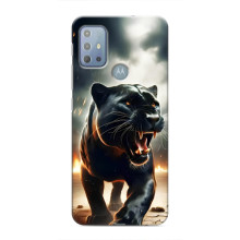 Чехол с картинкой «Хищники» для Motorola MOTO G20 – Пантера