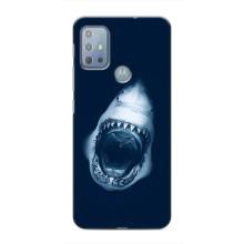 Силиконовый бампер с картинкой животных для Motorola MOTO G20 (Пасть Акулы)