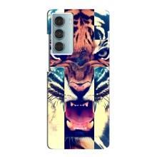 Чехлы с изображением разных животных для Motorola MOTO G200 (Яркий Тигр)