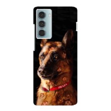 Чехлы с картинками животных Motorola MOTO G200 (Овчарка)