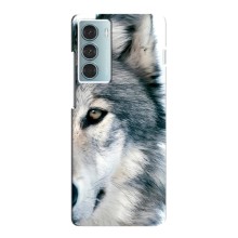 Чехлы с картинками животных Motorola MOTO G200 (Волк)