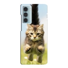 Чехлы с Котиками для Motorola MOTO G200 (VPrint) (Прыжок кота)