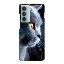 Чехлы с Котиками для Motorola MOTO G200 (VPrint) (Серый Кот)