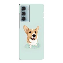 Чехлы с собаками для Motorola MOTO G200 (VPrint) (Корги)