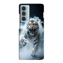Чохол з картинкою 'Хижаки' для Motorola MOTO G200 – Тигр