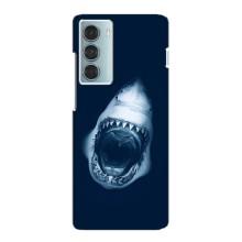 Силиконовый бампер с картинкой животных для Motorola MOTO G200 (Пасть Акулы)