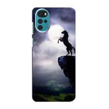 Чехлы с изображением разных животных для Motorola MOTO G22 (Лошадь)