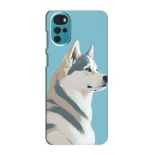 Чехол с Хаски для Motorola Moto G22 - (AlphaPrint) (Хаски арт)