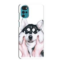 Чехол с Хаски для Motorola Moto G22 - (AlphaPrint) (Хаски улыбака)