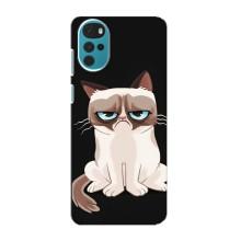 Чохол з принтом для Motorola MOTO G22 (AlphaPrint) Модні коти (Сумний кіт)