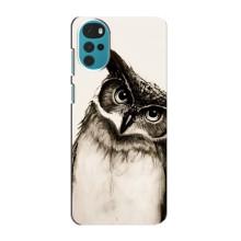 Чехол с птицами на Motorola MOTO G22 (VPrint) (Сова)