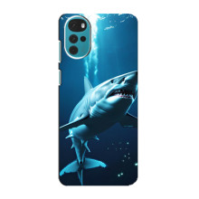 Чехол с картинкой «Хищники» для Motorola MOTO G22 – Акула