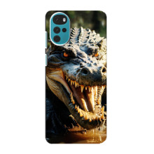Чехол с картинкой «Хищники» для Motorola MOTO G22 – Крокодил