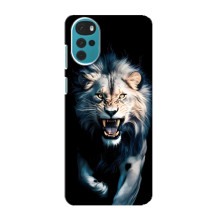 Чехол с картинкой «Хищники» для Motorola MOTO G22 – Лев