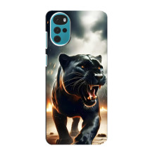 Чехол с картинкой «Хищники» для Motorola MOTO G22 – Пантера