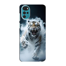 Чехол с картинкой «Хищники» для Motorola MOTO G22 – Тигр