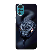 Чехол с картинкой «Хищники» для Motorola MOTO G22 – Змея