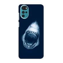 Силиконовый бампер с картинкой животных для Motorola MOTO G22 (Пасть Акулы)