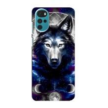 Защитные чехлы для Мото G22 (AlphaPrint) (ХИТ продаж) ВОЛК (Волк)