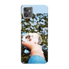 Чохли з зображенням різних тварин на Motorola MOTO G23 (Їжачок в руці)