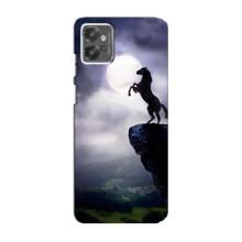 Чохли з зображенням різних тварин на Motorola MOTO G23 (Кінь)