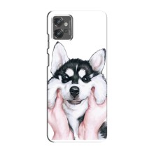 Чохол з Хаскі Motorola MOTO G23 - (AlphaPrint) (Хаскі улибака)