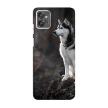 Чохол з Хаскі Motorola MOTO G23 - (AlphaPrint) (Вірний собака)