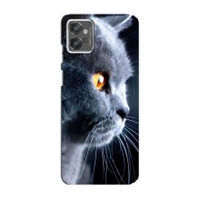 Чохли з Котиками для Motorola MOTO G23 (VPrint) (Сірий Кіт)