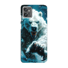 Чохол з картинкою 'Хижаки' для Motorola MOTO G23 – Ведмідь
